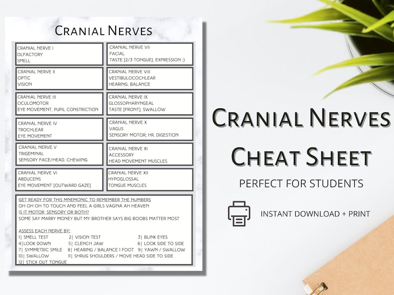 Cranial Nerves Explained | Study Guide for Healthcare Professional ...