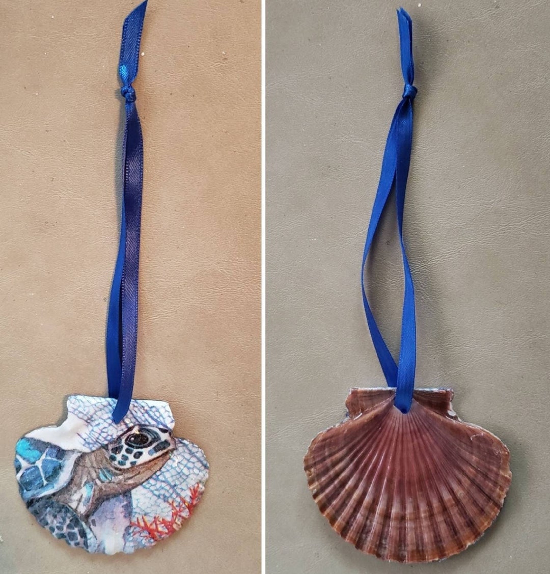 Decoupage 3 Inch Mexican Flat Shell SEA TURTLE DESIGN #3 Ornament ...