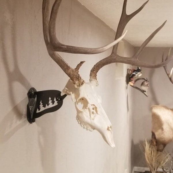 European Deer Head Skull Mount Adjustable Rotating Swivel Hanger