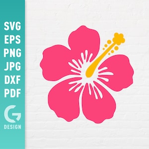 Fleur d'hibiscus SVG, Plage Png, Clipart tropical d'été Aloha, Sublimation d'île hawaïenne, Fichiers de découpe d'été pour Cricut Silhouette
