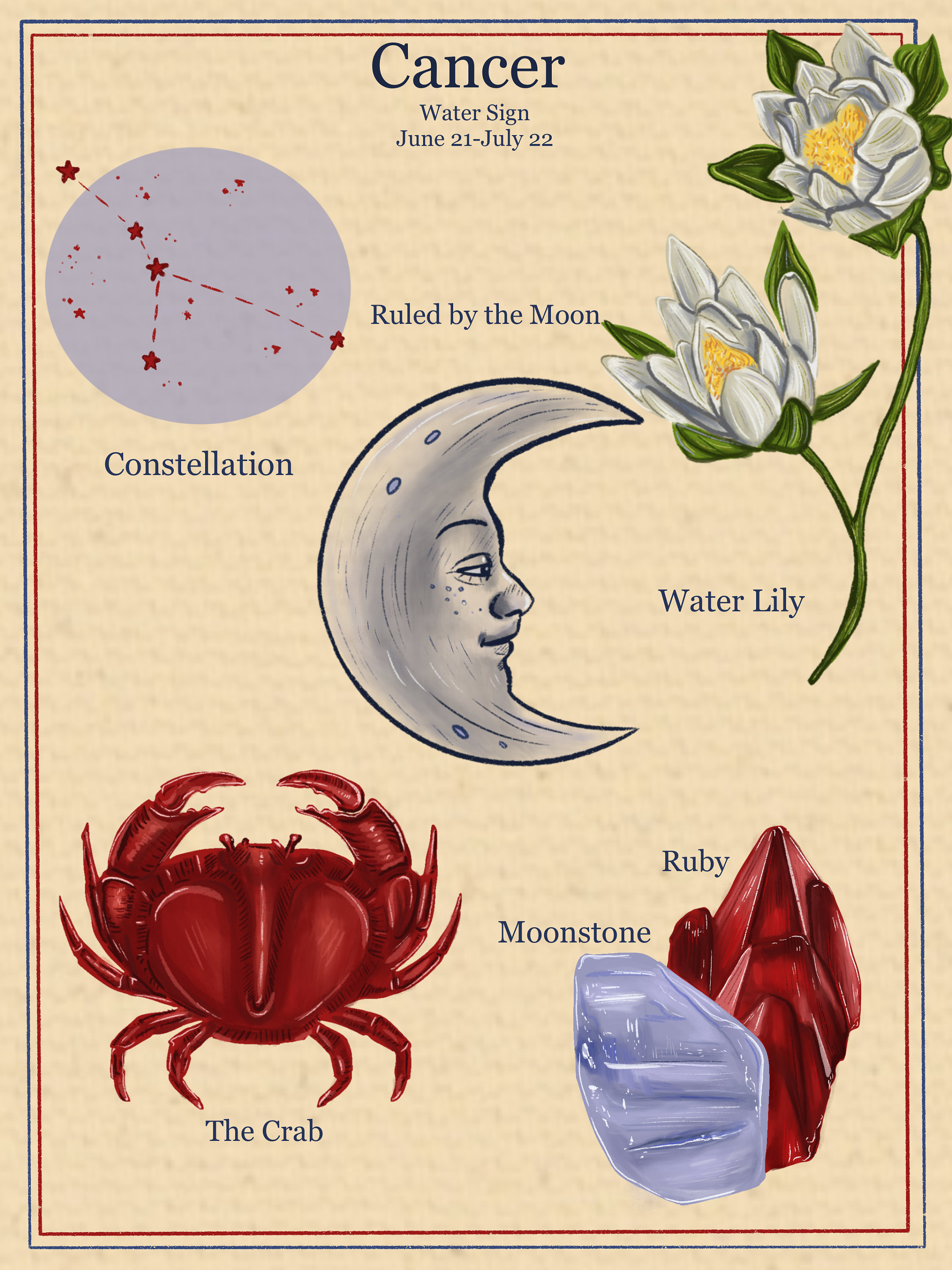 Zodiac Astrology Vintage Style Digital Poster Cancer Etsy