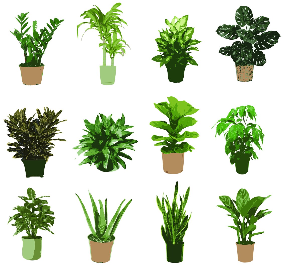 House Plant Clip Art Etsy