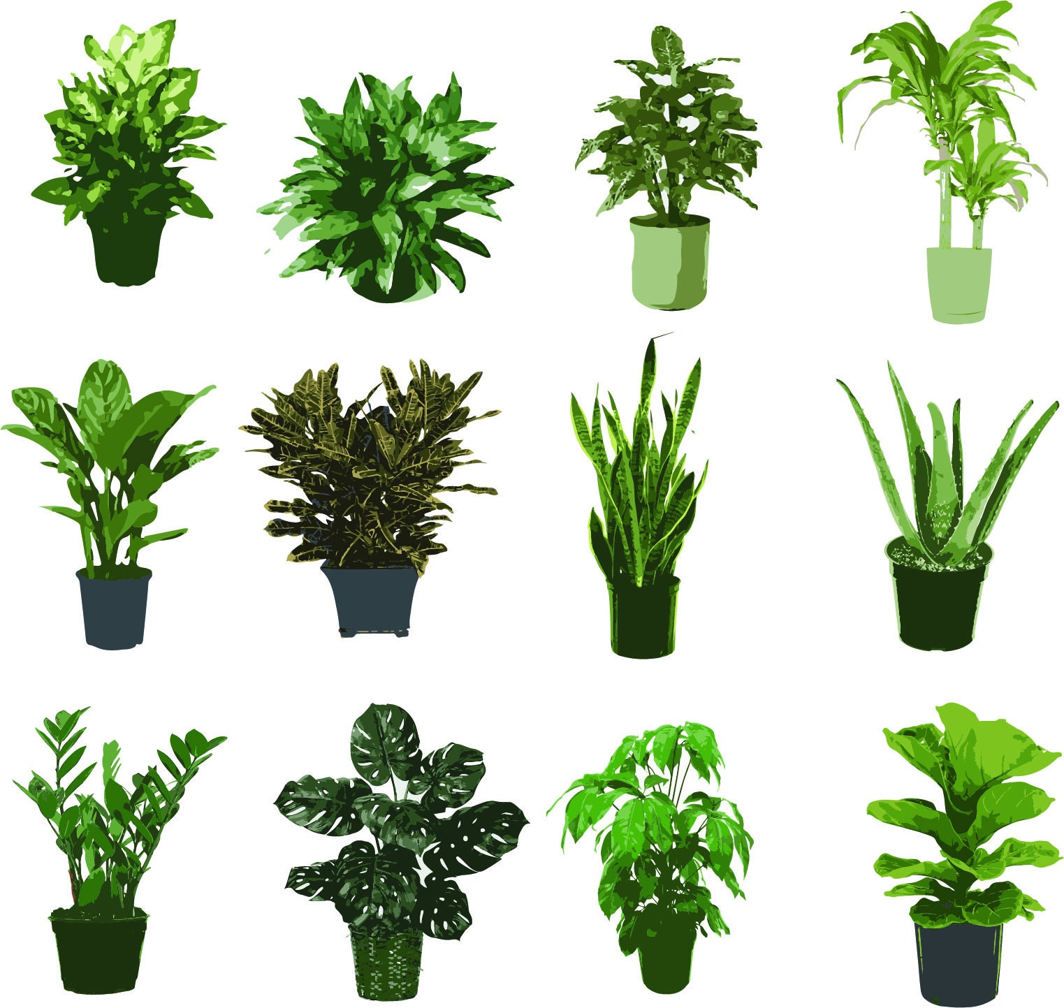 House Plant Clip Art | Etsy