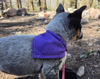 Pañuelos para perros Wild at Heart / Pañuelos para mascotas hechos a mano / Todos los tamaños y estampados / Pañuelo para colocar sobre el collar / Opciones para gatos