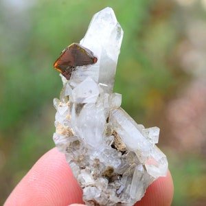 May include: A cluster of clear quartz crystals with a single, large, reddish-brown crystal on top. The crystals are on a bed of grey rock.