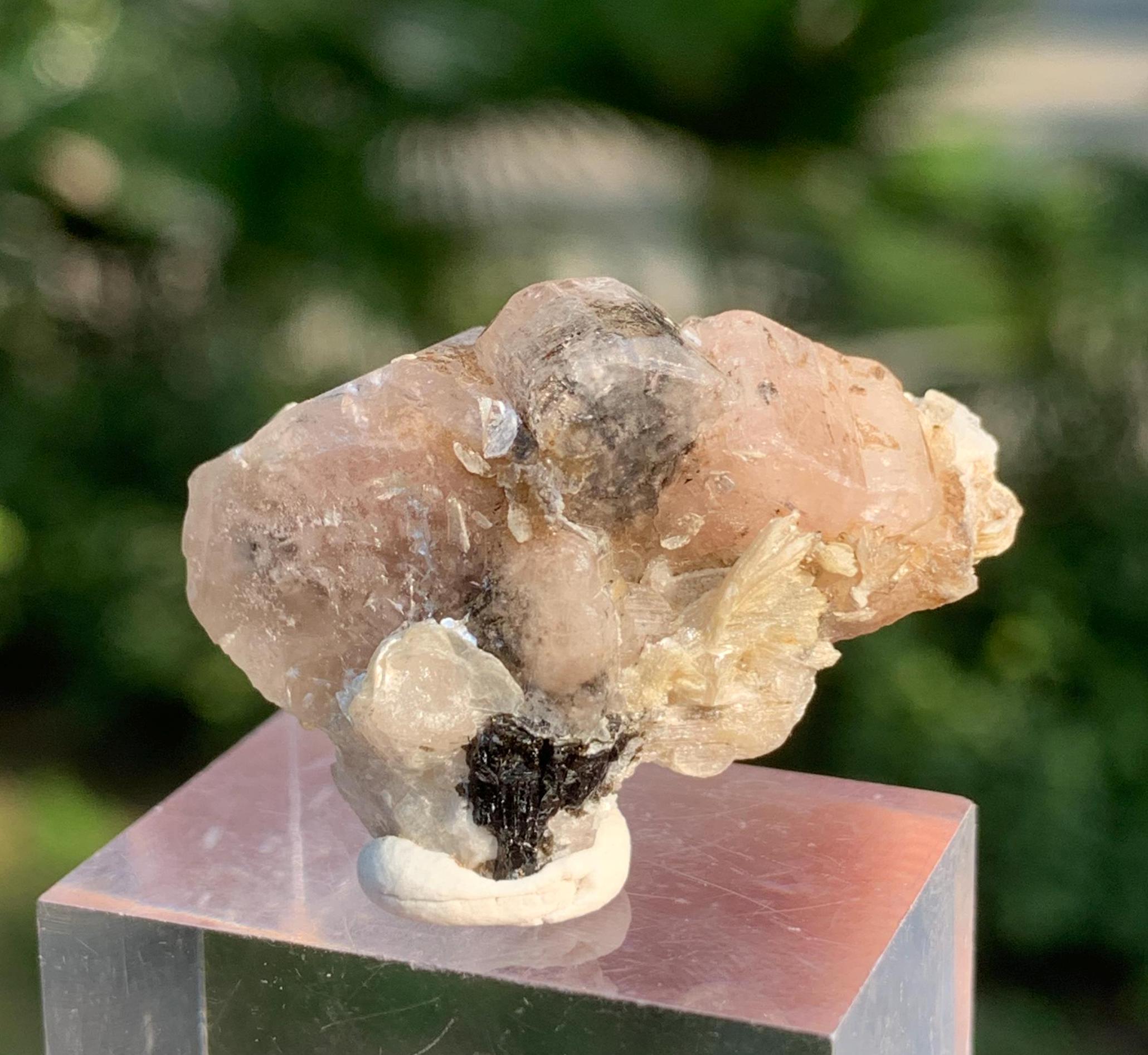 ピンクアパタイト結晶標本：蛍光スコールと白雲母マトリックス - Etsy 日本