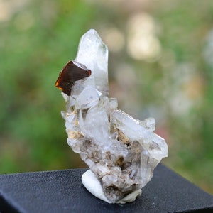 May include: A cluster of clear quartz crystals with a brown mineral inclusion. The crystals are arranged in a cluster on a white base.