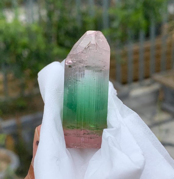 アフガニスタン/ラグマーン産】エルバイトトルマリン アフガニスタン