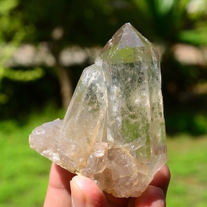 Himalayan Damage-Free Smokey Quartz twin Crystals Specimen Cabinet Piece from Skardu  N-4