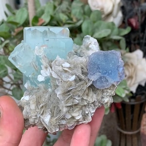 ダメージのない完全に終端されたブルーアクアマリンクリスタルの束。希少な青みがかった紫がかった蛍石クリスタルと白雲母の組み合わせ標本付き (N)
