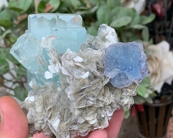May include: A cluster of aquamarine crystals with a blue fluorite crystal, all set in a bed of mica.
