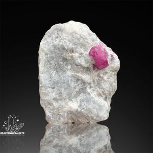 以下が含まれることがあります： 上部に鮮やかなホットピンクのルビーの結晶が埋め込まれた、ざらざらした薄い灰色の鉱物標本。石は質感のある表面を持ち、暗い背景に対して光を反射しています。