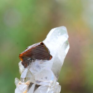 May include: A clear quartz crystal with a brown, faceted, mineral inclusion. The crystal is pointed at the top and has a rough, natural texture.