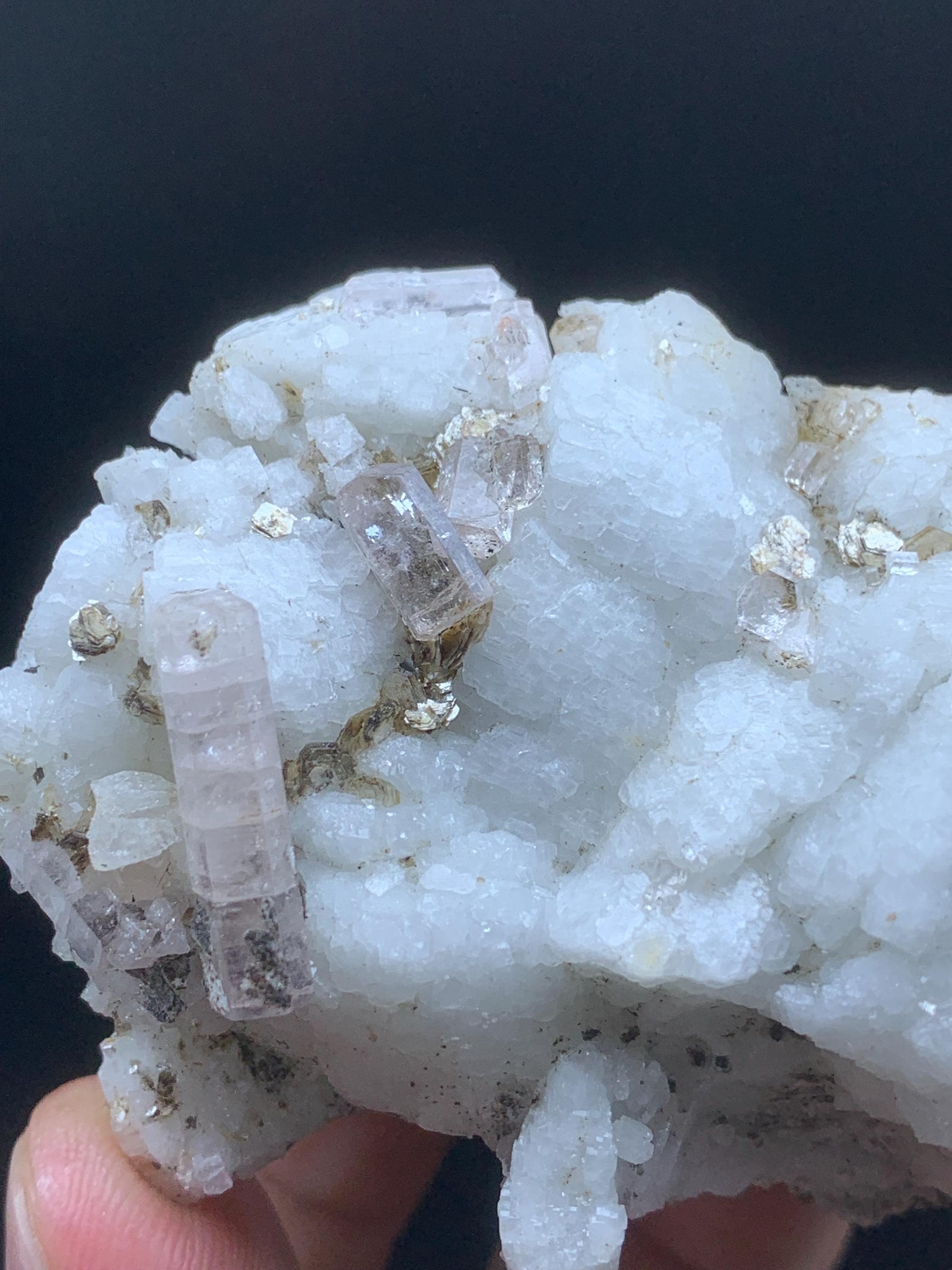 Baby Pink Apatite Crystals on Albite With Muscovite Combine Specimen ...