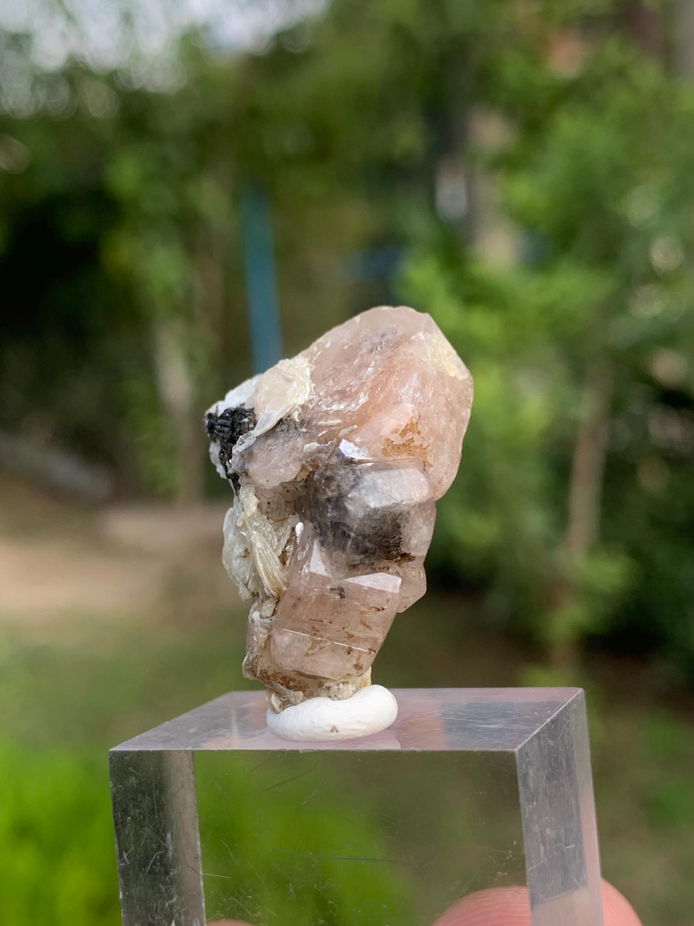 ピンクアパタイト結晶標本：蛍光スコールと白雲母マトリックス - Etsy 日本