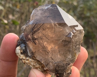 Smokey Quartz Crystal with Rare Riebeckite / Rutile / Aegirine Inclusions from Zagi Mountains KPK Pakistan N-10
