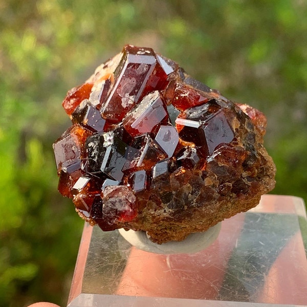 Aesthetic Red Andradite Garnet Crystals Bunch with Sharp Lustre & Matrix Combine Specimen from Afghanistan N-9