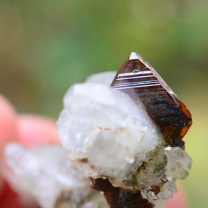 May include: A close-up of a brown and red crystal with striations on its surface. The crystal is sitting on a bed of white crystals.