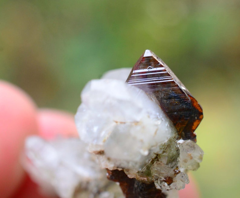 May include: A close-up of a brown and red crystal with striations on its surface. The crystal is sitting on a bed of white crystals.