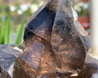 Rare Smokey Quartz with Riebeckite / Aegirine Inclusions Super Lustre Quartz Crystals Cluster from Zagi Mountains KPK Pakistan N-11