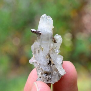 May include: A cluster of clear quartz crystals with a brown mineral inclusion. The crystals are clustered together on a matrix of grey rock.