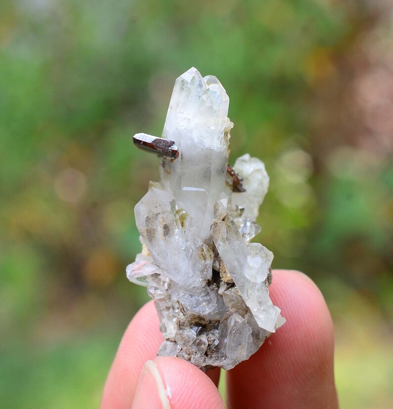 May include: A cluster of clear quartz crystals with a brown mineral inclusion. The crystals are clustered together on a matrix of grey rock.