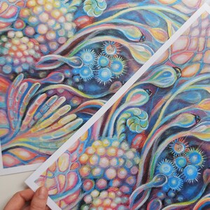 Impression botanique, carte postale de champignon, illustration de champignons, illustration botanique, art trippy, affiche de biologie, cadeau de nature, psychédélique, art de zygomycota