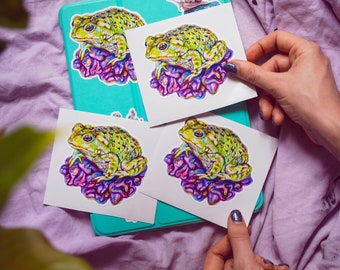 Pegatina de hongo Froggie, Pegatina de hongos, Arte de hongos, amante de la naturaleza, Obra de arte psicodélica, pegatina trippy, pintura de hongos, arte de rana, pegatina de rana