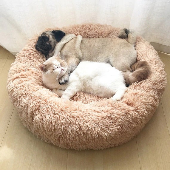 Cute Super Soft Dog Bed, Sofa Fluffy Cat, Dog Beds For Large Dogs Bed