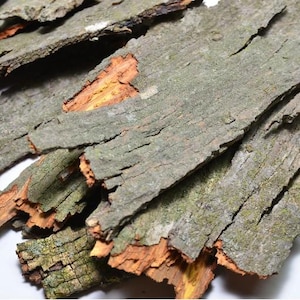May include: Close-up of several pieces of tree bark. The bark is primarily gray-green with areas of orange-brown. The pieces have a rough, textured surface with visible cracks and splits. The bark appears to be dry and flaky.