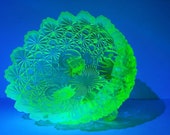 Opalescent Vaseline Footed Bowl in 39 Daisy Button 39 - 5.5 quot x 4 quot