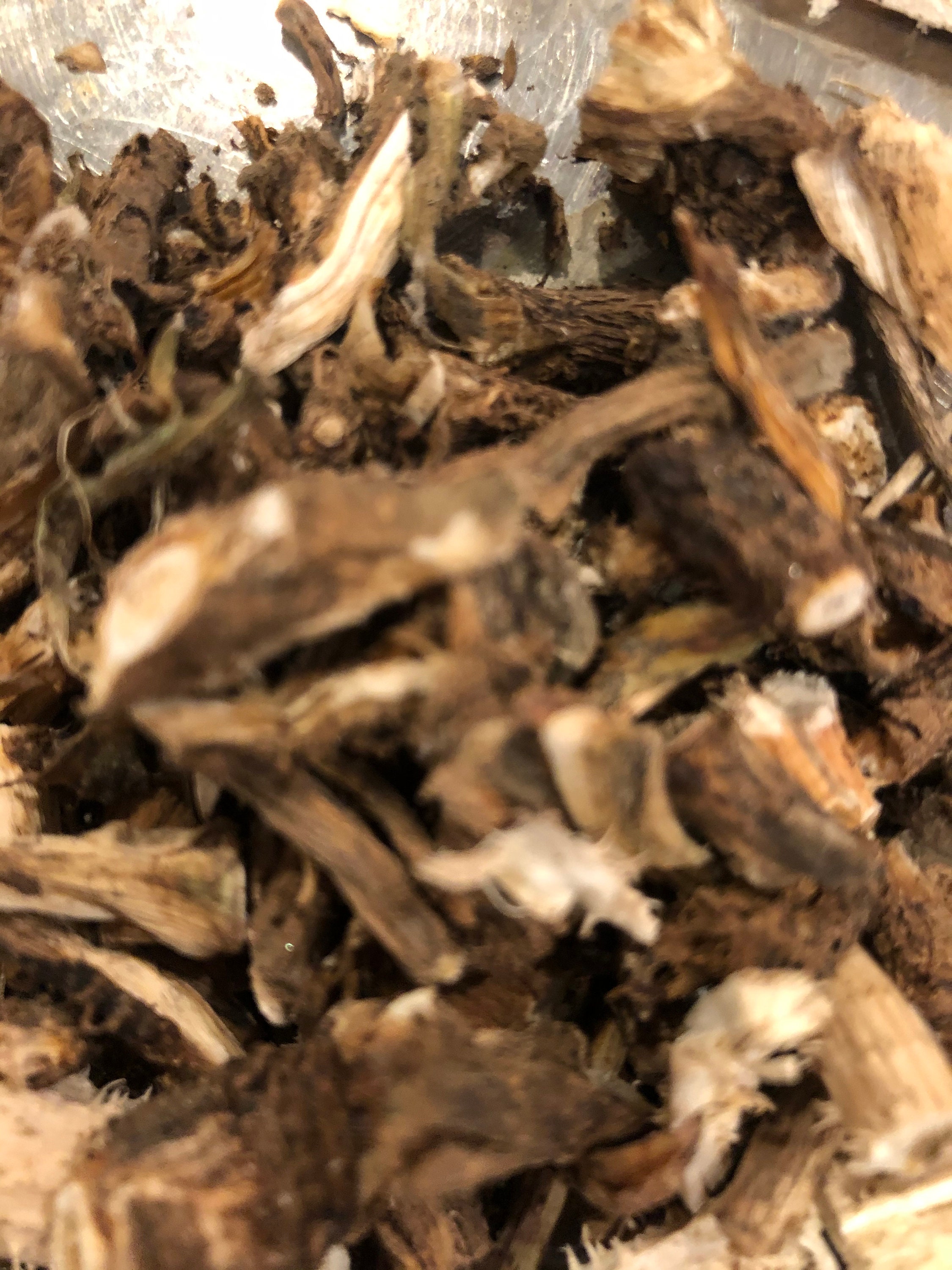 Dried MarshMallow Root Althaea officinalis Etsy
