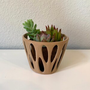 May include: A brown ceramic planter with a unique, wavy design and cut-out holes. The planter is filled with three small succulents, including a green one with pointed leaves and two red-tipped succulents.