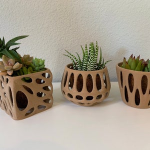 3D Printed Wood Plant Pots - Set of 3