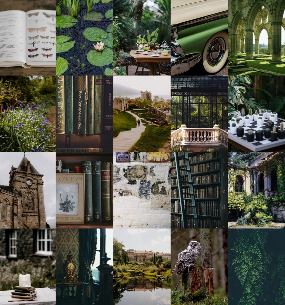 Green collage kit 50 pcs Aesthetic photo wall Green academia Etsy