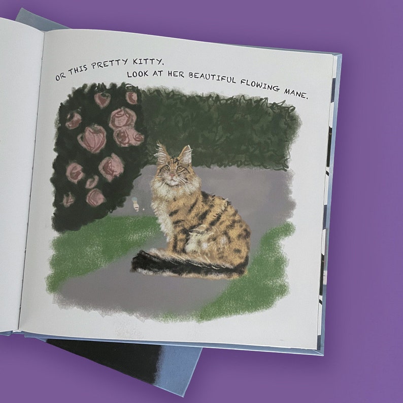 May include: An open book illustration featuring a tabby cat with a flowing mane, sitting on a gray surface. The cat is brown and tan with black stripes. Text above reads, "OR THIS PRETTY KITTY. LOOK AT HER BEAUTIFUL FLOWING MANE."