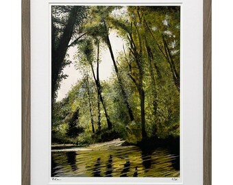 Framed Forest Landscape Print, Signed Limited Edition Nature Wall Art