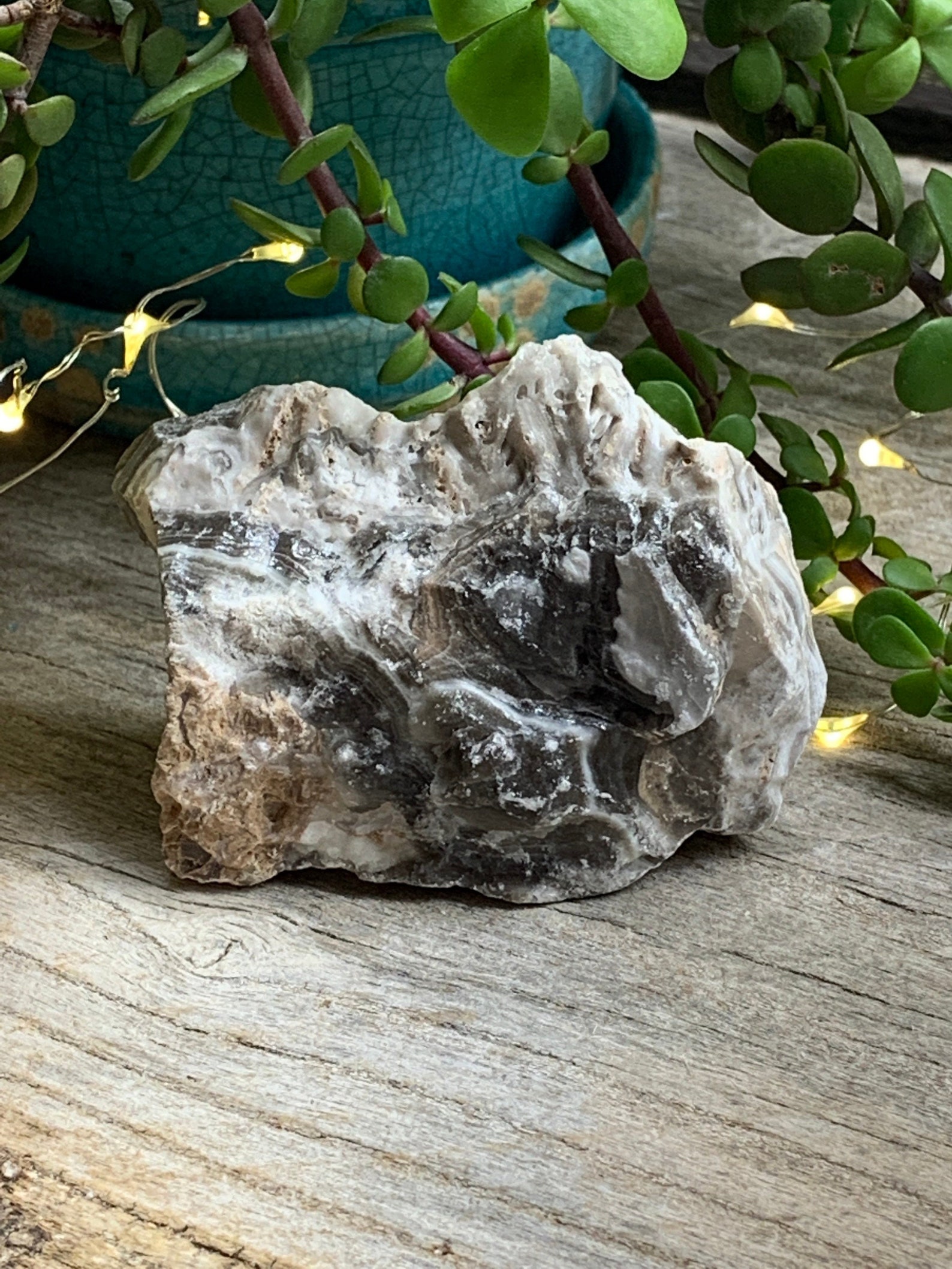 Raw Zebra Stone RAW0300 Etsy