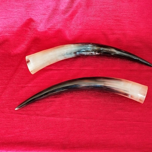Véritable corne à boire Viking naturelle faite main 12-14&quot; pure cire d&#39;abeille traitée 120 ml
