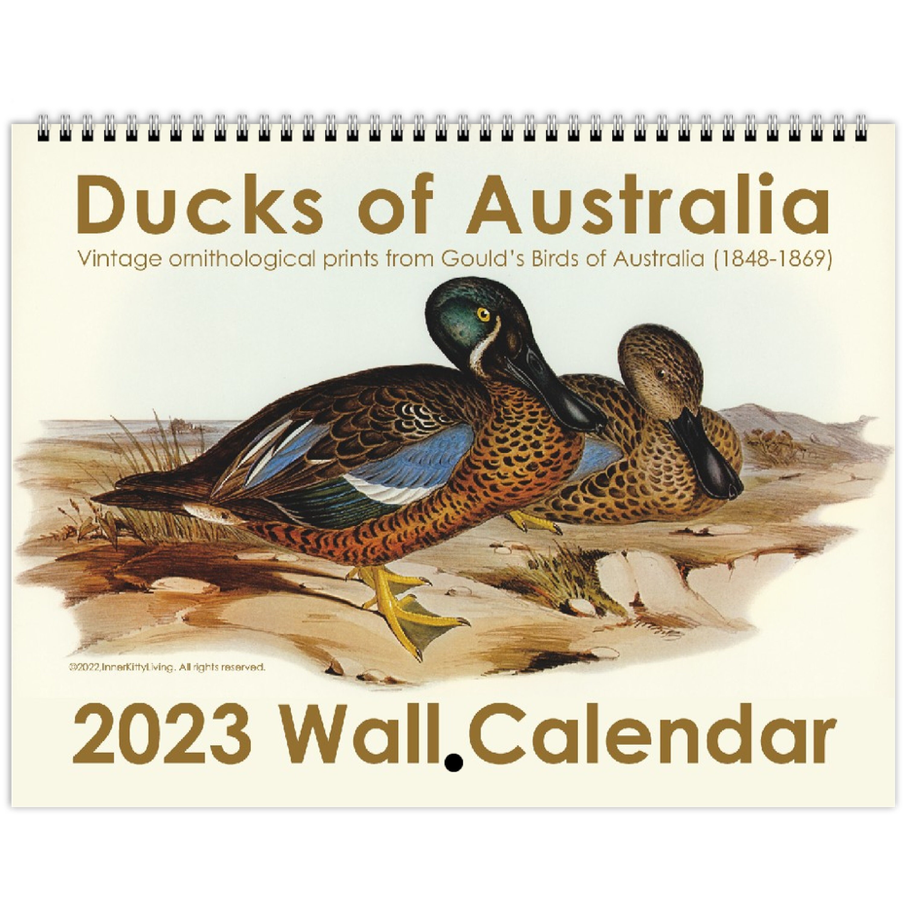 Fun Duck Lover Gift I'm Easily Distracted by Ducks Novelty Fridge Magnet  Ideal Gift Present -  Denmark