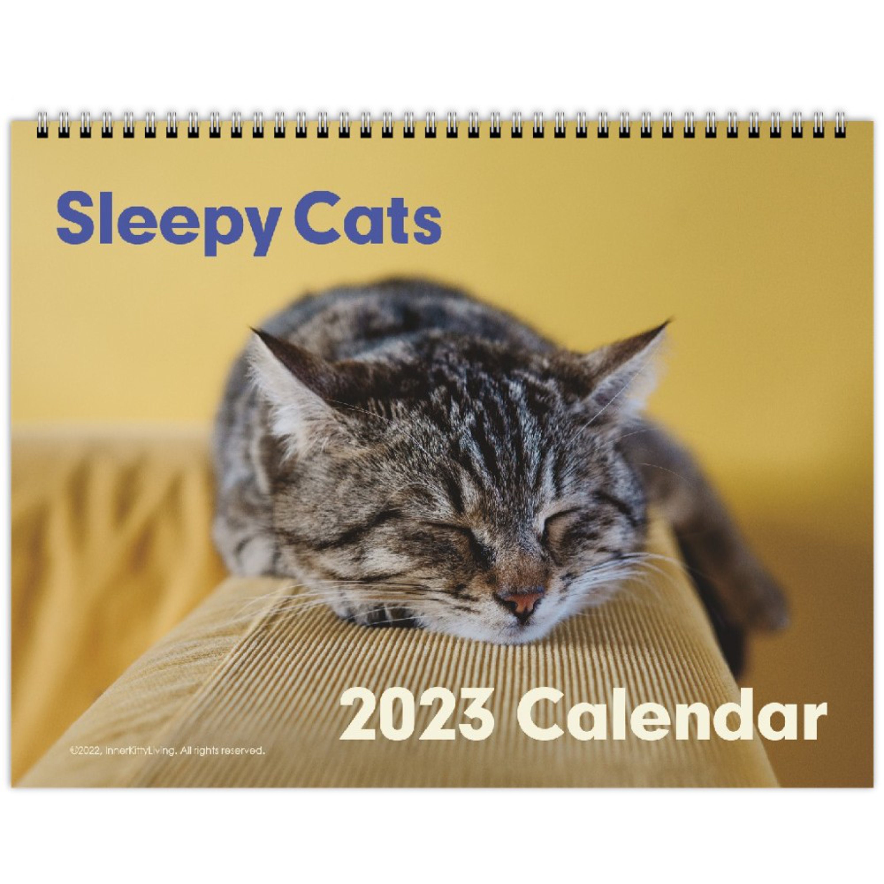 Sleepy Cats 2023 Calendar Christmas Gift Gift for Her Gift Etsy Canada