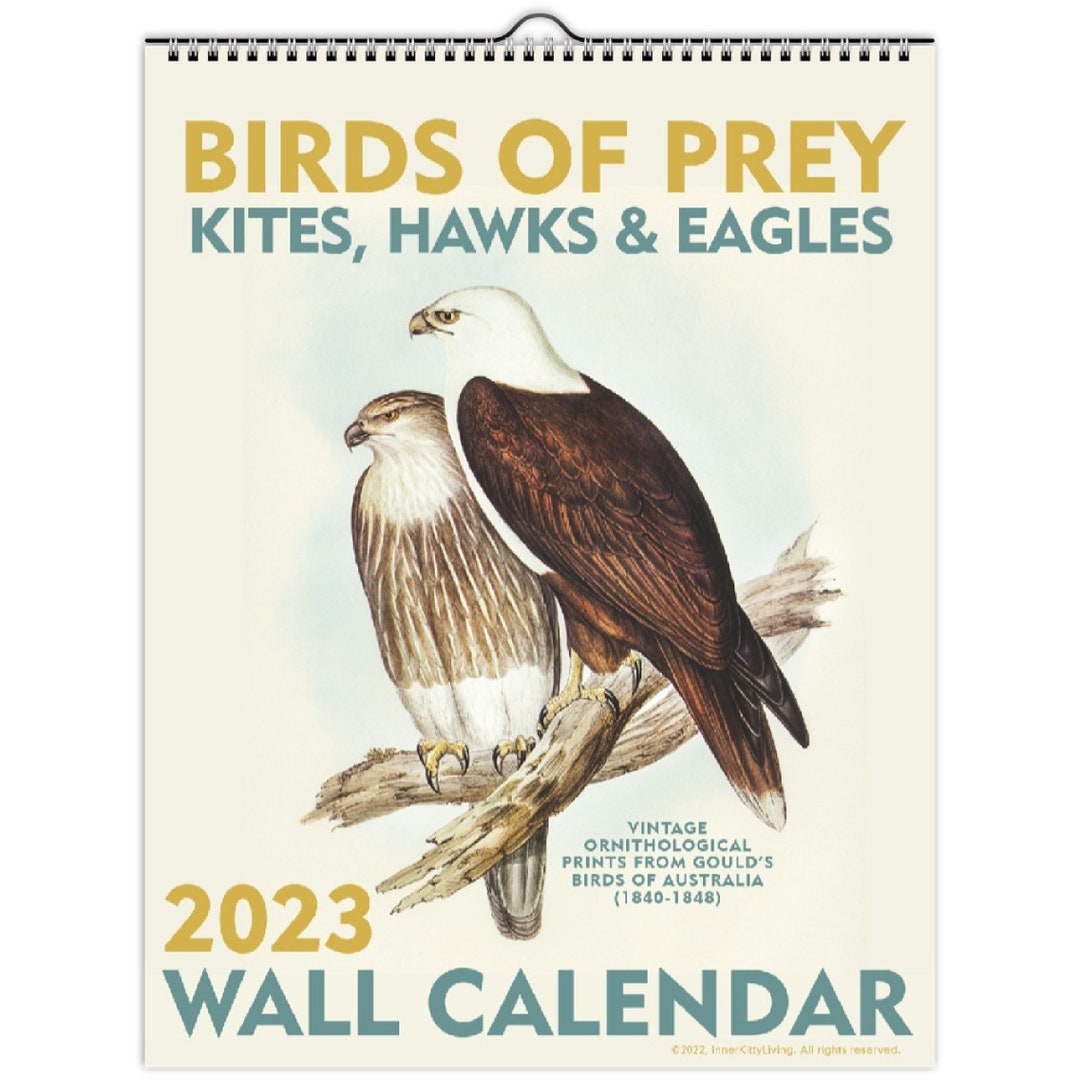 2023 Birds of Prey Calendar Kites Hawks & Eagles Vintage Etsy