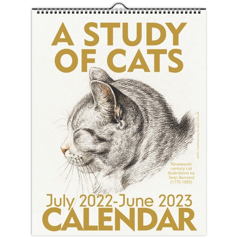 2023 Cat Calendar 20222023 Vintage Cat Calendar A Study of Cats by Jean Etsy