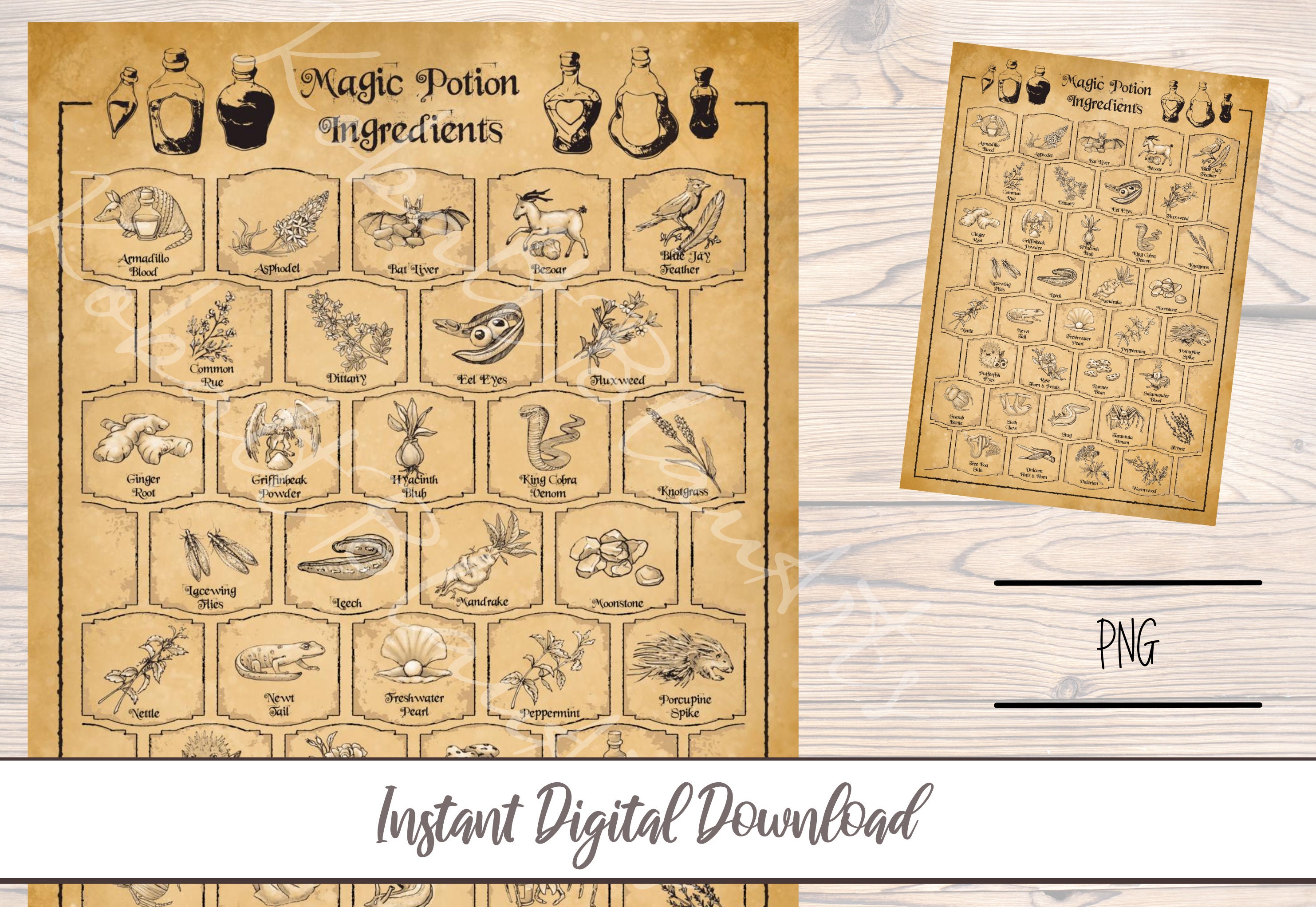 Magic Potion Ingredients Illustration Poster Vintage Style Etsy UK