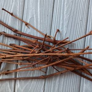 Grape sticks, chewing sticks, dried grapevine sticks
