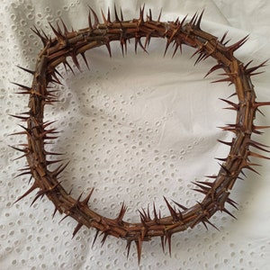 Espinho afiado e verdadeiro, coroa de Jesus Cristo,