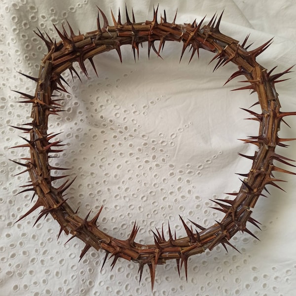 Véritable épine acérée, couronne de Jésus-Christ,