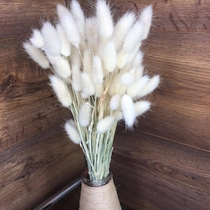 Peut inclure: Un bouquet de queue de lapin séchée blanche dans un vase rustique brun.