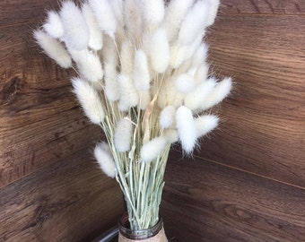 White Dried Bunny Tail Grass: Natural Lagurus Flower Decor