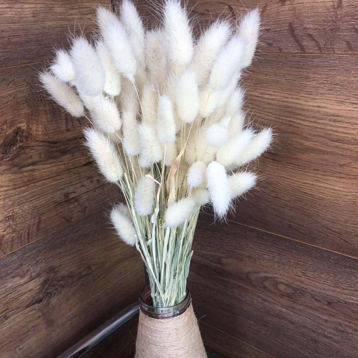 Lagurus White Dried Hare's Tail Grass Bunny Tail Dried Flowers.lagurus